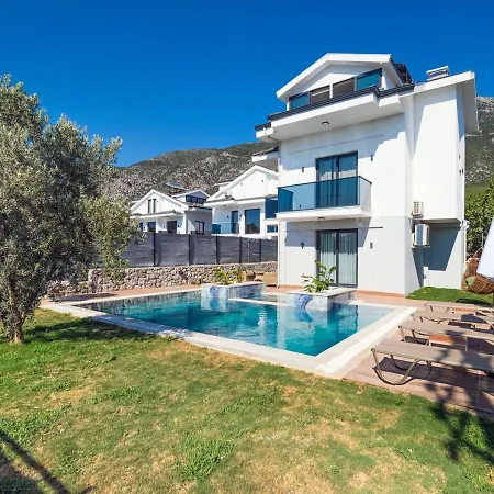 Jacuzzi In Nature For 8 People, Ovacik - Awz 104 Villa